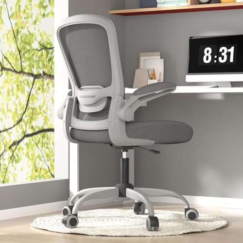 Ergonomic Office Chair w/Adjustable Lumbar, Flip Armrest, 135° Recline - color: Iron Gray With Gray Frame