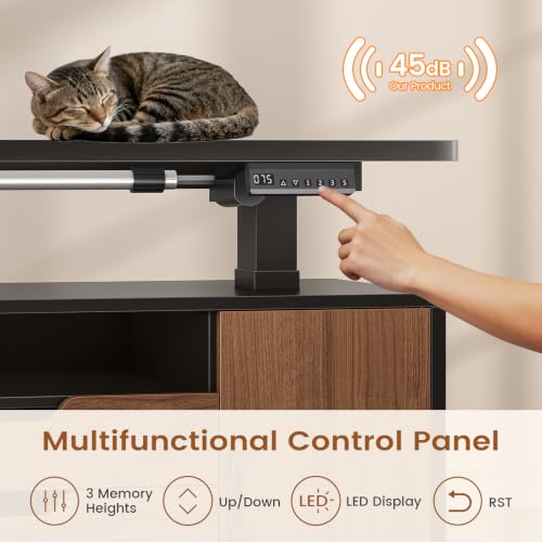 SEDETA Modern L Shaped Executive Electric Standing Desk with 4 Drawers | 69" x 55" Height Adjustable Office Desk with Storage Shelves, Power Outlet, Sit Stand Computer Desk, Black and Brown - color: Modern Black+ Brown