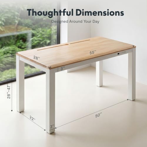 FLEXISPOT E3Q-PRO 4-Leg Standing Desk, 55"x28" Rubberwood, Natural