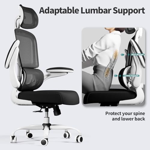 TRALT Office Chair Ergonomic Desk Chair - Gaming Chair with Lumbar Support | 330 LBS Home Office Desk Chairs with Headrest, Reading Chair with Flip-up Armrests, Comfortable Computer Chairs (1, Black) - color: Black & White