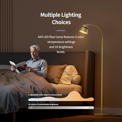 AXX Gold Floor Lamp, Standing Reading Light for Office/Bedroom/Living Room - color: Gold