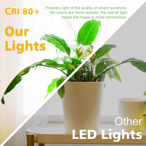2 Inch LED Downlight, Recessed Lighting Dimmable Ceiling Light, 3W, 3000K Warm White, CRI80 with LED Driver(35W Halogen Equivalent), Black 8 Pack - color: Warm White, size: Black/8 Pack