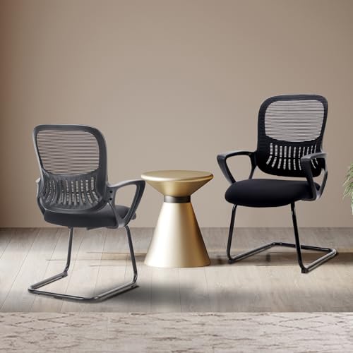 DUMOS Office Desk Chair, Computer Chairs Set of 2, Mesh Back Lumbar Support | Sled Base, Lumbar Support, Ergonomic Executive, Home Bedroom, Waiting Reception Guest - color: Black, size: Set of 2