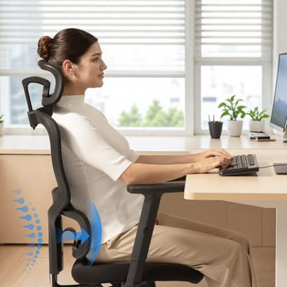 SIHOO M56 Ergonomic Office Chair, Dual Backrest, Adaptive Lumbar Support - color: Dark Black, size: Pack of 2