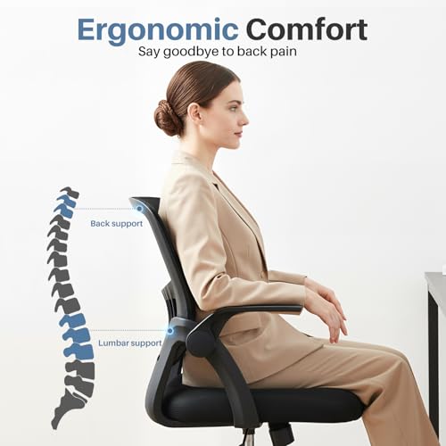 DUMOS Office Chair, Ergonomic Home Desk Chair, Ergonomic Lumbar Support - color: Black Flip Arm