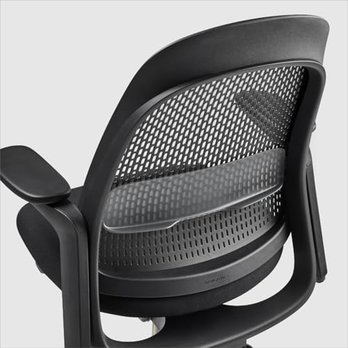 Haworth Breck Ergonomic Office Chair, Home Office Desk Chair, Coal | Computer Desk Chair with Height-Adjustable Lumbar Support, Black Trim, and 4D-Arms - color: Coal, style: Black Trim