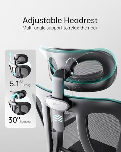 Hbada P3 Ergonnomic Office Chair with 2D Adjustable Lumbar Support, Office Chair with Adjustable Headrest and Armrest, 145° Stepless Tilt Function, Black(No Footrest)
