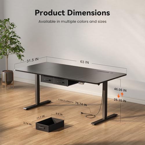 HLDIRECT 63" Electric Standing Desk with Power Outlets & 2 Drawers, Black | 31.5" Extra Wide Desktop Up to 176lb, 28"–46" Height Range & 3 Memory Presets, Integrated Cable Management, Quick Assembly - color: Black, size: 63 inch