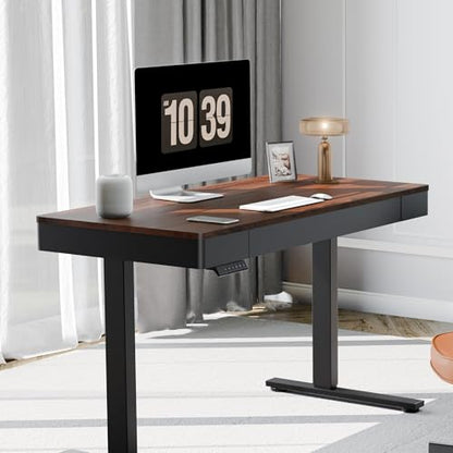 FLEXISPOT Standing Desk with Drawer, 48 x 24 Inch Electric Adjustable Height Stand Up Desk with Storage Organizer, Whole Piece Wooden Desktop for Home, Office, Computer Workstation, Dark Walnut