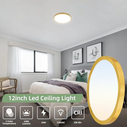hykolity 12 Inch Selectable CCT LED Round Flat Panel Light,2 Pack | 24W 3000K/4000K/5000K, Edge-Lit Flush Mount Ceiling Light Fixture for Kitchen, Bedroom, Laundry and Closet Room,Gold - color: Gold, size: 12 inch