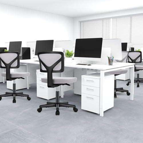 DUMOS Armless Desk Chairs, Small Home Office Mesh Chairs | Ergonomic Adjustable Mid Back, Swivel Rolling Task, Computer Work Vanity Small Spaces, New Grey - color: New Grey, size: 1pc