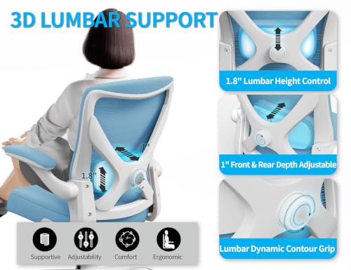 Ergalithic Office Chair: Mesh Ergonomic Desk Chair with 3D Lumbar & Swivel - color: Sky Blue, size: Pack of 1