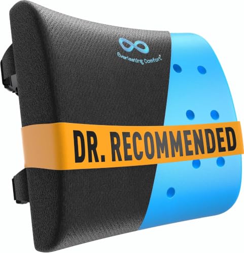 Everlasting Comfort Lumbar Support Pillow for Office Chair - Improves Posture, Promotes Back Pain Relief - Superior Back Support for Gaming and Desk Chairs - Lumbar Pillow for Car, Couch - color: C. Black Cooling