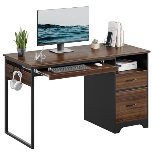 Bestier 48” Computer Desk with Drawers, Office Desk with Storage, Industrial Wood Writing Desk with File Drawer, Keyboard Tray & 2 Hooks for Home Office & Studio, Cherry - color: Cherry, size: 48 Inch