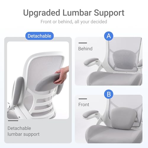 HYLONE 400lbs Heavy Duty Office Chair, Computer Desk Chair Grey | Office and Home, 5" Thickened Seat, Ergonomic with Adjustable Armrests, Mesh Executive Chair - color: White & Grey