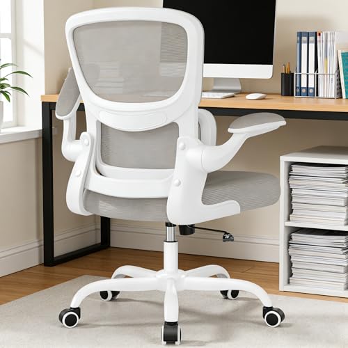 ALLGOD Office Chair Ergonomic Desk Chair, Breathable Mesh Desk Chair Comfy with Lumbar Support, Flip-up Armrests, Computer Chairs Comfortable for Home, Office, Work, Standard, 300Lbs - color: Lightgray(standard), size: 1 Pack