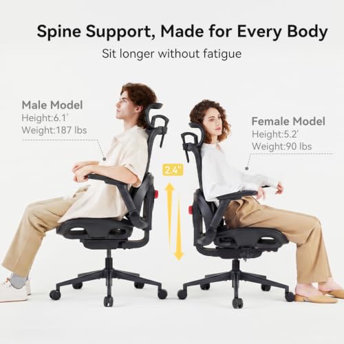 SIHOO B300 Pro Ergonomic Office Chair Without Footrest, 4D Lumbar Support - color: Black