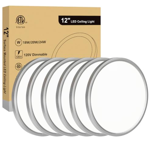 12 Inch Flush Mount Light, Dimmable 5CCT Selectable, 0.67 Inch Slim Round, 24W Surface Mount LED Ceiling Light for Laundry, Office,12 Inch 6Pack Silver - color: Silver-6 Pack, size: 12 Inch