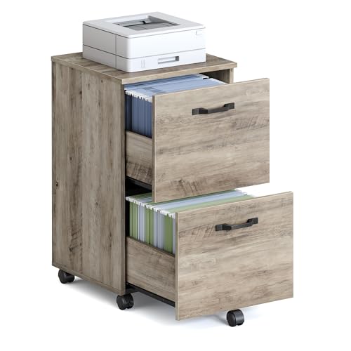 VASAGLE 2-Drawer File Cabinet, Small Rolling Filing Cabinet - color: Heather Greige, style: Classic