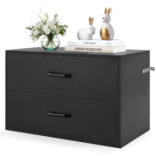 POWERSTONE 2 Drawers Storage Cabinets, Wooden Organizer Filing Chest Entryway Console Table, Modern Under Desk Storage for Living Room, Dorm Room, Home Office (Black) - color: Black