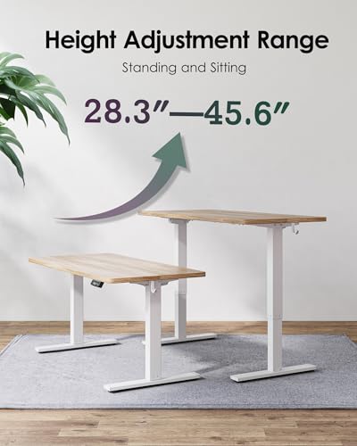 TIQLAB 48 X 24 Inch Height Adjustable Electric Standing Desk, Maple - color: Maple, size: 47*24 inch
