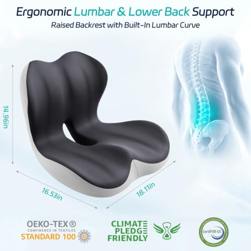 Cool & Dry Seat Cushion & Back Support for Coccyx & Lumbar Relief - color: Gray/White Airflow