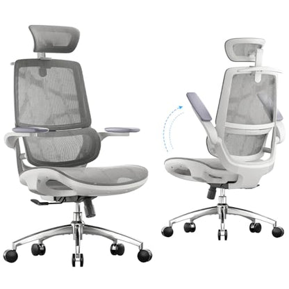 SIHOO M59AS Ergonomic Office Chair, Dual Backrest, Adaptive Lumbar Support - color: Jet Black, size: Pack of 1