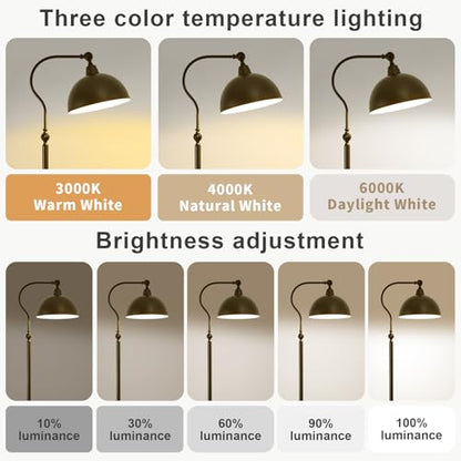 Bright Reading Floor Lamp with Remote and Bluetooth Dimming | Adjustable Brightness and Color temperature, Matte Black Iron Lampshade,Modern Retro Living Room Bedroom Office Standing Lamp - color: Black Remote Dimming