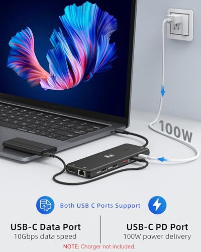 13-in-1 Docking Station Dual Monitor 4K LIONWEI USB C Hub for Laptop Mac - color: 13-in-1 Black