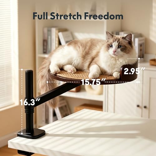 FLEXISPOT EN2 55"x28" Standing Desk Bundle with Monitor Mount, Maple - color: Black Frame + Black Top, size: 55x28 | Cat Bed