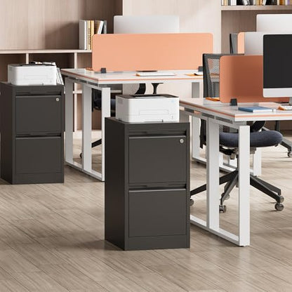 2 Drawer Metal Vertical File Cabinet with Lock for Home Office | 17.8 Inch Depth,Under Desk Small Filing Cabinet,Adjustable Hanging Bar,Fits Letter & Legal Size Files,Easy to Assemble,Black - color: Black, size: 17.8"D x 15"W x 25.8"H（2 Drawers）