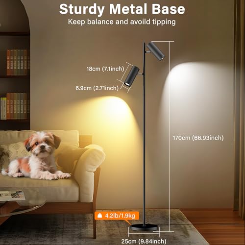 SIBRILLE Spotlight Floor Lamp, Tall LED Standing Lamp with Remote/Touch Control, 2700K-6500K, 350°Rotating Head Standing Lamp, Reading Floor Lamp for Living Room, Bedroom, Office & Wall Art, Dual Head - style: Dual-Tube