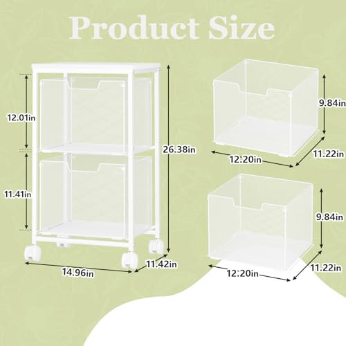 Rolling File Cart with 2 Storage Drawers,Under Desk Storage Cart,Hanging File Folder Organizer with Wheels, Filing Cabinet Mobile Printer Stand Utility Craft Cart for Home Office,White