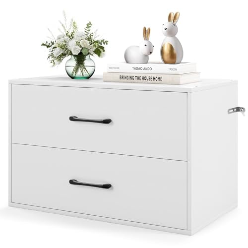 POWERSTONE 2 Drawers Storage Cabinets, Wooden Organizer Filing Chest Entryway Console Table, Modern Under Desk Storage for Living Room, Dorm Room, Home Office (White) - color: White
