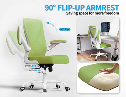 Ergalithic Office Chair: Mesh Ergonomic Desk Chair with 3D Lumbar & Swivel - color: Green, size: Pack of 1