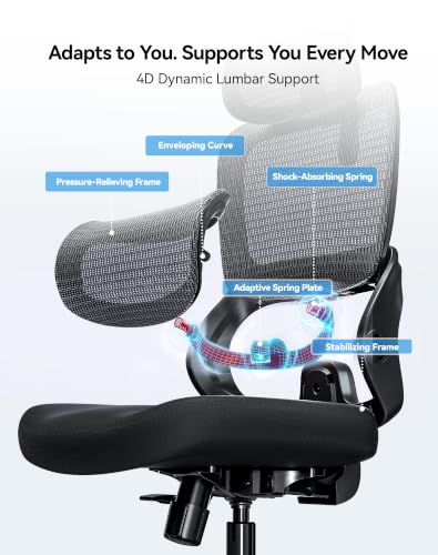 SIHOO B100 SE Ergonomic Office Chair, Desk Chair with Lumbar Support - color: Midnight Black, size: Pack of 1