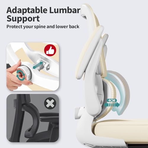 TRALT Office Chair Ergonomic Desk Chair - Gaming Chair with Lumbar Support | 330 LBS Home Office Desk Chairs with Headrest, Reading Chair with Flip-up Armrests, Comfortable Computer Chairs (1, Greige) - color: Greige