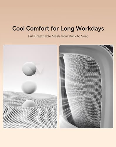 SIHOO B100 Office Chair, Ergonomic Office Chair Without Footrest, Computer Chair with Wide Headrest & Adaptive Lumbar Support, Flip-up Armrests, Swivel Desk Chair for Long Hours, Grey - color: Grey