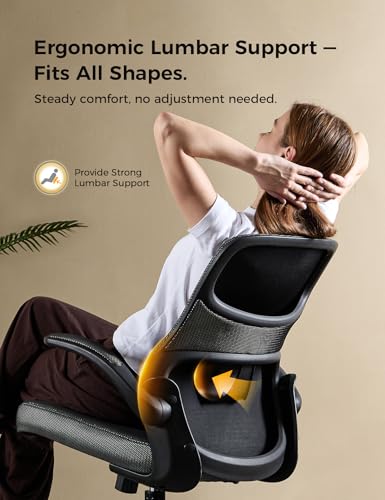 Ergonomic Mesh Office Chair with Flip-Up Armrests - color: Blk-blk