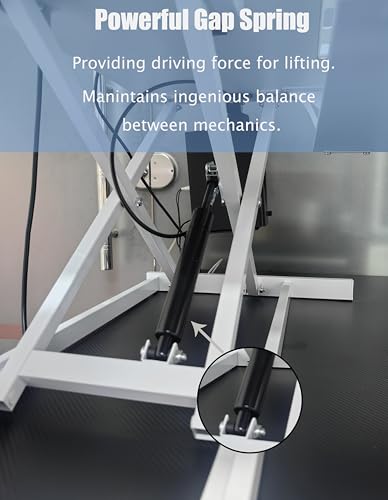 31.5 inch Standing Desk Converter, White Adjustable Desktop Stand Up Desk Riser, Dual Monitor and Laptop Workstation with Wide Keyboard Tray, Ergonomic Desks for Home or Office (White)