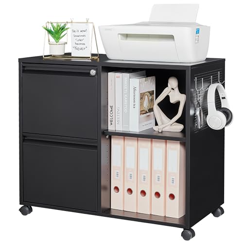 Letaya Mobile File Cabinet, Metal Lateral Rolling Printer Stand Filing Cabinets with Shelves for Home Office-Storage A4/F4 (Black) - color: Black, size: Left 2 Drawers-Basic