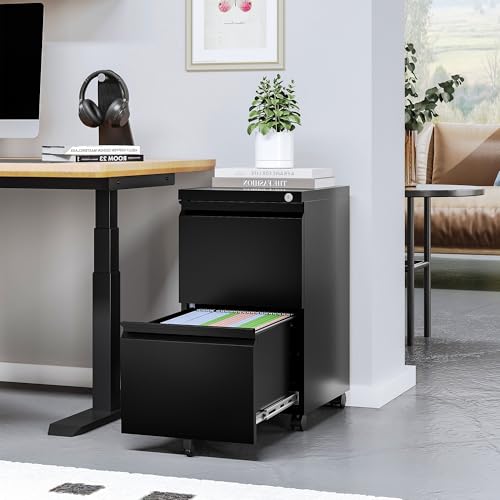 2 Drawer File Cabinet On Wheels Mobile Cabinet with Lock Under Desk Metal Filing Cabinet On Rollers Small Rolling File Cabinet Black Printer Stand for Home Office Fully Assembled - color: Black, size: 2 Drawers-Fully Assembled