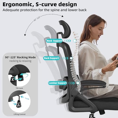 Ergonomic Office Chair Desk Chair with Adjustable Lumbar Support - color: Black-black