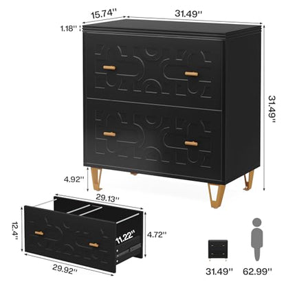 Tribesigns 2-Drawer Lateral File Cabinet, Black and Gold | Modern, Legal/Letter/A4 Size, Large Storage, Printer Stand, Home Office - color: Black & Gold