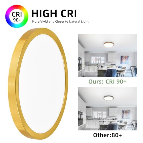 hykolity 12 Inch Selectable CCT LED Round Flat Panel Light,2 Pack | 24W 3000K/4000K/5000K, Edge-Lit Flush Mount Ceiling Light Fixture for Kitchen, Bedroom, Laundry and Closet Room,Gold - color: Gold, size: 12 inch