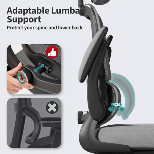 TRALT Office Chair Ergonomic Desk Chair - Gaming Chair with Lumbar Support (1,Dark Grey) - color: Dark Grey