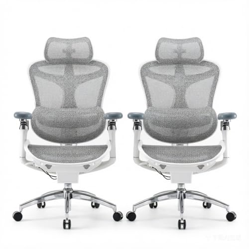 SIHOO Doro C300 Pro Ergonomic Office Chair with Ultra-Soft 6D Armrests | Dynamic Lumbar Support, Seat Depth Adjustment, Adjustable Backrest, Big & Tall Desk Chair for Home Office, 2Pcs Grey - color: Ash Gray, size: Pack of 2