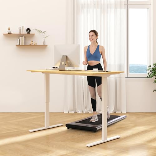 FLEXISPOT E3 Dual Motor Electric Standing Desk 48 x 24 Sit Stand Up Desk, Holds 220 lbs, Adjustable Height w/Memory Presets, One-Piece Maple Desktop & White Frame, Ships in 2 Boxes - color: White Frame + Maple Top, size: 48"x24" Whole-piece