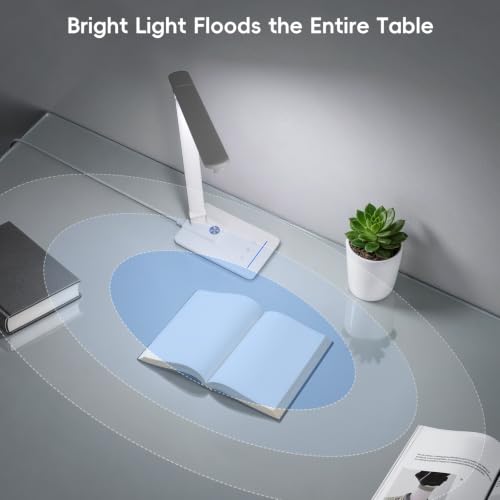 ELECTRI Desk Lamp for Home Office, 5 Color & Stepless Dimming, Eye-Caring