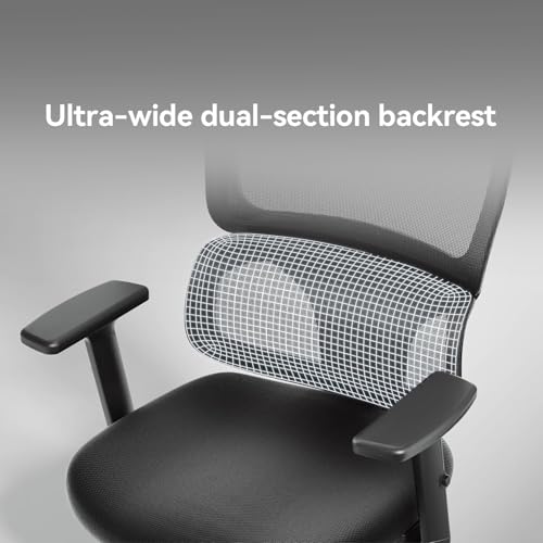 SIHOO M56 Ergonomic Office Chair, Dual Backrest, Adaptive Lumbar Support - color: Dark Black, size: Pack of 2